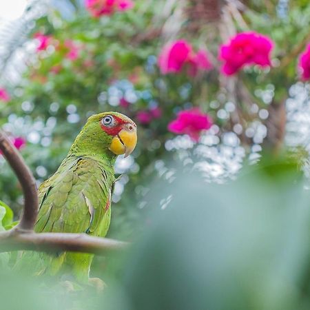 Hotel Lagoon - Pet Friendly Chetumal Exterior photo