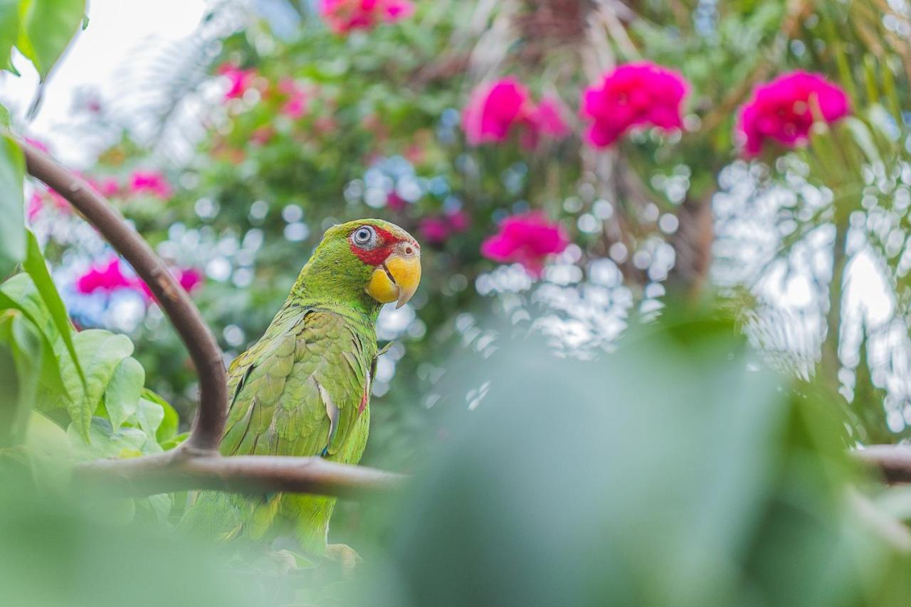 Hotel Lagoon - Pet Friendly Chetumal Exterior photo