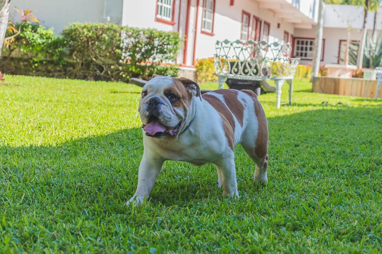 Hotel Lagoon - Pet Friendly Chetumal Exterior photo